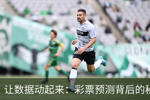 让数据动起来：彩票预测背后的秘密武器